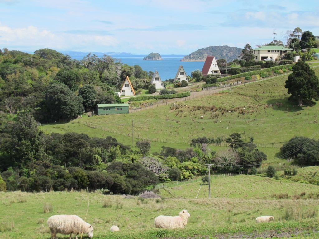 Pohutukawa Coastal Chalets Coromandel Zewnętrze zdjęcie